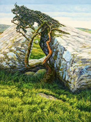 Gallery of Cornwall Paintings: Painting by Sarah Vivian, Thorn, Stone & Time, Bodmin Moor, Cornwall
