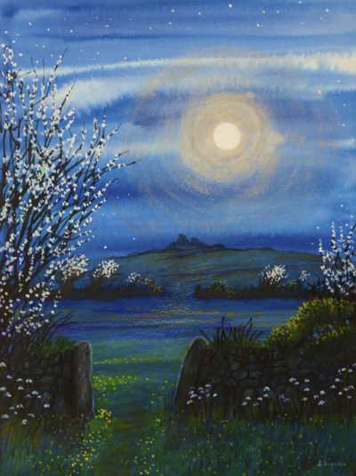 Mixed Media Painting by Sarah Vivian, Blackthorn by moonlight, Cornwall