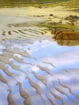 Gallery of Cornwall Paintings: Painting by Sarah Vivian, Sea Creatures on Sennen Beach, West Penwith, Cornwall
