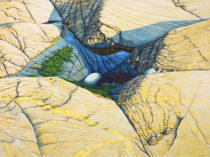 Gallery of Cornwall Paintings: Painting by Sarah Vivian, Blue Bird with Nest Egg at Cape Cornwall, West Penwith, Cornwall