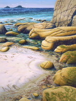 Gallery of Cornwall Paintings: Painting by Sarah Vivian, Snoozing in the Sun, Rocks at Porth Nanven, Cape Cornwall, West Penwith, Cornwall