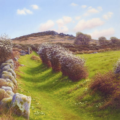 Gallery of Cornwall Paintings: Painting by Sarah Vivian, Primrose Path to Porthmeor Cove, West Penwith, Cornwall