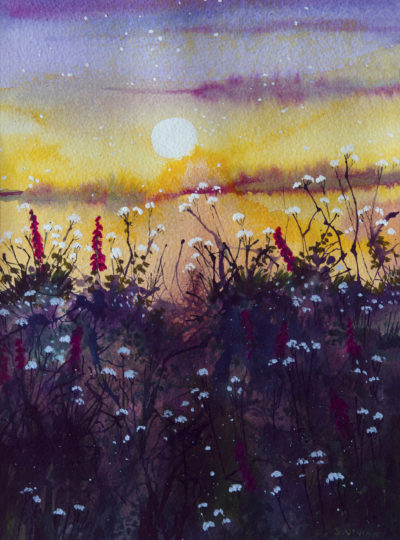 Mixed Media Painting by Sarah Vivian, Cornish Hedge at Sunset, Cornwall