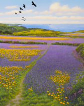 Gallery of Cornwall Paintings: Painting by Sarah Vivian, Above Nanquidno; Choughs, Corn Marigolds and Purple Viper’s Bugloss, West Penwith, Cornwall